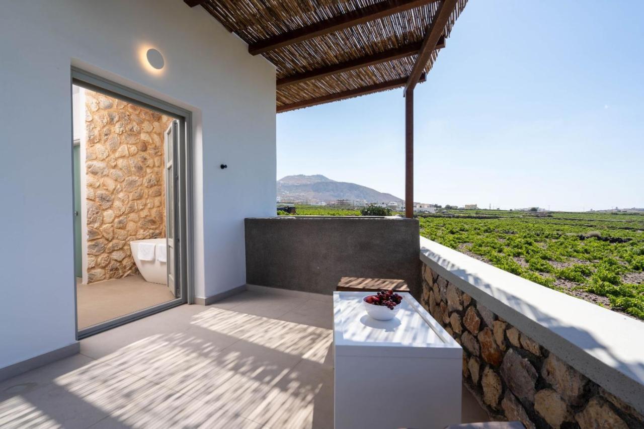 New Villa Katerina Collection Megalochori  Dış mekan fotoğraf